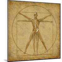 Vitruvian Human Diagram Grunge Medical Chart-digitalista-Mounted Art Print