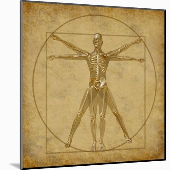 Vitruvian Human Diagram Grunge Medical Chart-digitalista-Mounted Art Print