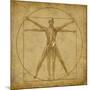 Vitruvian Human Diagram Grunge Medical Chart-digitalista-Mounted Art Print