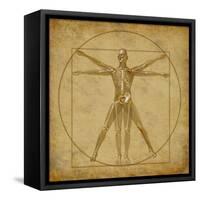 Vitruvian Human Diagram Grunge Medical Chart-digitalista-Framed Stretched Canvas