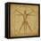 Vitruvian Human Diagram Grunge Medical Chart-digitalista-Framed Stretched Canvas