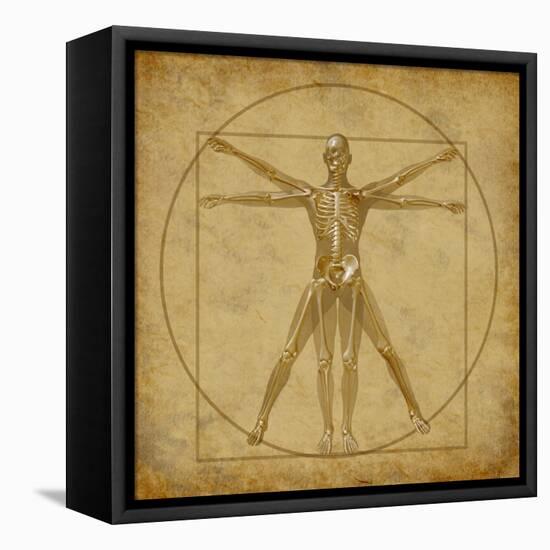 Vitruvian Human Diagram Grunge Medical Chart-digitalista-Framed Stretched Canvas