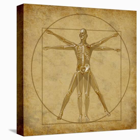 Vitruvian Human Diagram Grunge Medical Chart-digitalista-Stretched Canvas