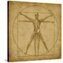 Vitruvian Human Diagram Grunge Medical Chart-digitalista-Stretched Canvas