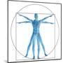 Vitruvian Human or Man, Anatomy Body for Biology-bestdesign36-Mounted Art Print