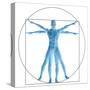 Vitruvian Human or Man, Anatomy Body for Biology-bestdesign36-Stretched Canvas