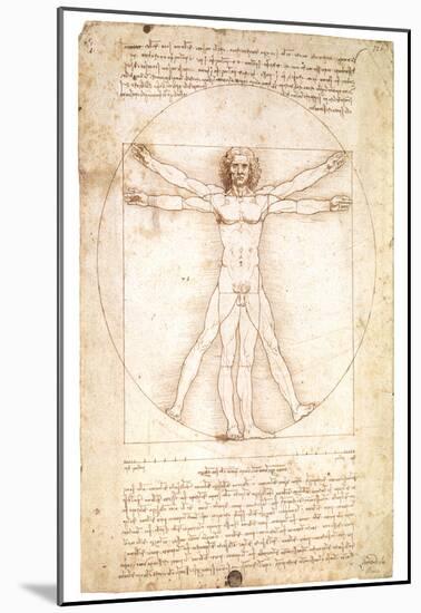 Vitruvian Man 1492 Leonardo Da Vinci Art Poster-Leonardo da Vinci-Mounted Poster