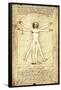 Vitruvian Man, c. 1492-Leonardo da Vinci-Framed Poster