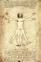 Vitruvian Man, c. 1492-Leonardo da Vinci-Lamina Framed Poster