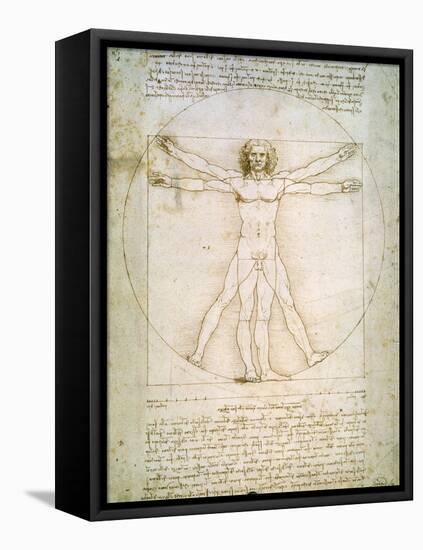 Vitruvian Man, c.1492-Leonardo da Vinci-Framed Stretched Canvas