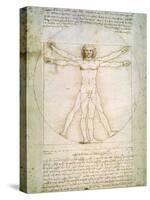 Vitruvian Man, c.1492-Leonardo da Vinci-Stretched Canvas