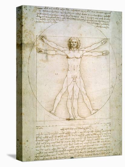 Vitruvian Man, c.1492-Leonardo da Vinci-Stretched Canvas