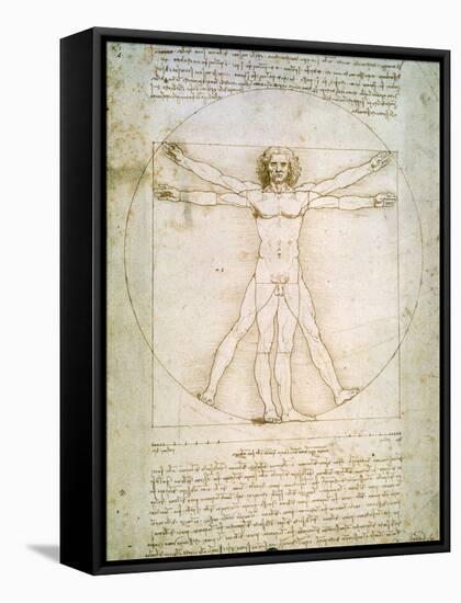 Vitruvian Man, c.1492-Leonardo da Vinci-Framed Stretched Canvas