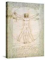 Vitruvian Man, c.1492-Leonardo da Vinci-Stretched Canvas