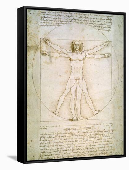 Vitruvian Man, c.1492-Leonardo da Vinci-Framed Stretched Canvas