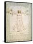 Vitruvian Man, c.1492-Leonardo da Vinci-Framed Stretched Canvas