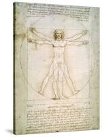 Vitruvian Man, c.1492-Leonardo da Vinci-Stretched Canvas