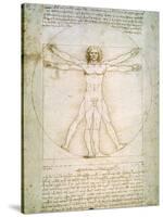 Vitruvian Man, c.1492-Leonardo da Vinci-Stretched Canvas