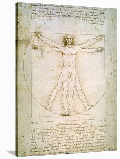 Vitruvian Man, c.1492-Leonardo da Vinci-Stretched Canvas