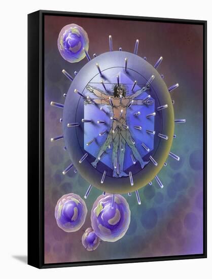 Vitruvian Man Inside Virus Particle-null-Framed Stretched Canvas