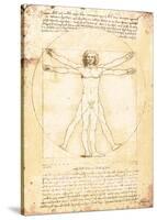 Vitruvian Man-Leonardo Da Vinci-Stretched Canvas