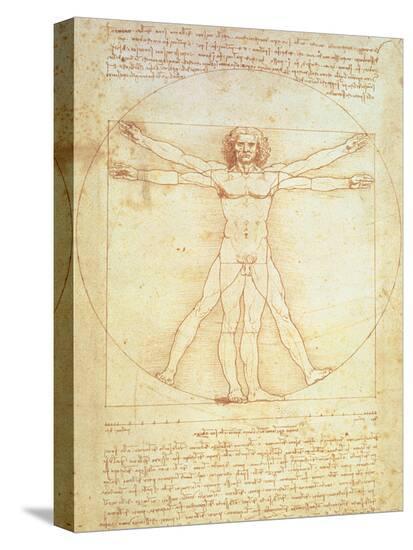 Vitruvian Man-Leonardo da Vinci-Stretched Canvas