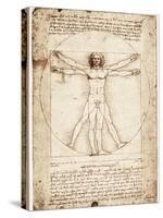 Vitruvian Man-Leonardo da Vinci-Stretched Canvas