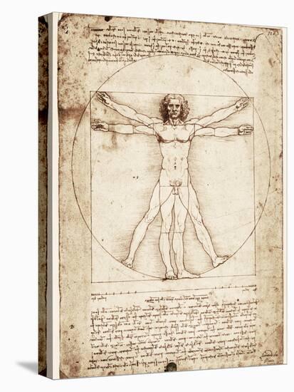 Vitruvian Man-Leonardo da Vinci-Stretched Canvas