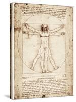 Vitruvian Man-Leonardo da Vinci-Stretched Canvas