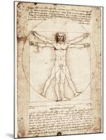 Vitruvian Man-Leonardo da Vinci-Mounted Art Print