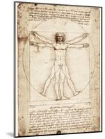 Vitruvian Man-Leonardo da Vinci-Mounted Art Print