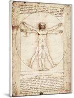 Vitruvian Man-Leonardo da Vinci-Mounted Art Print