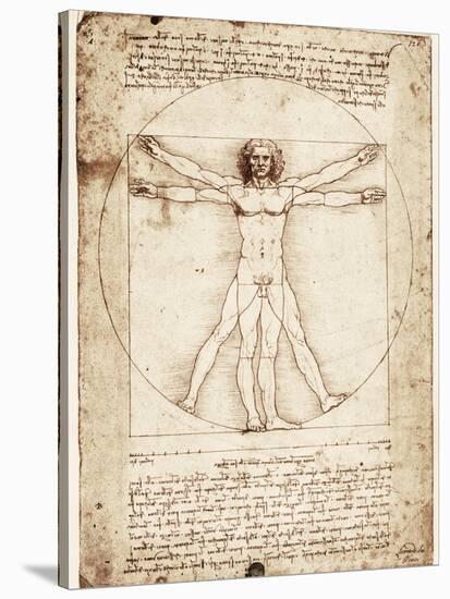 Vitruvian Man-Leonardo da Vinci-Stretched Canvas