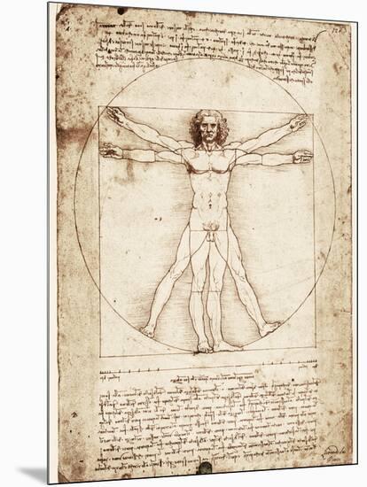 Vitruvian Man-Leonardo da Vinci-Mounted Art Print