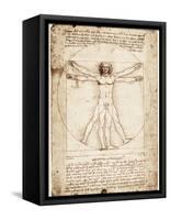 Vitruvian Man-Leonardo da Vinci-Framed Stretched Canvas