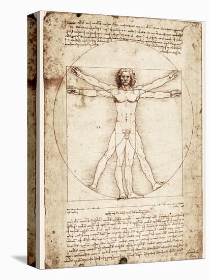 Vitruvian Man-Leonardo da Vinci-Stretched Canvas