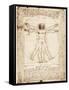 Vitruvian Man-Leonardo da Vinci-Framed Stretched Canvas