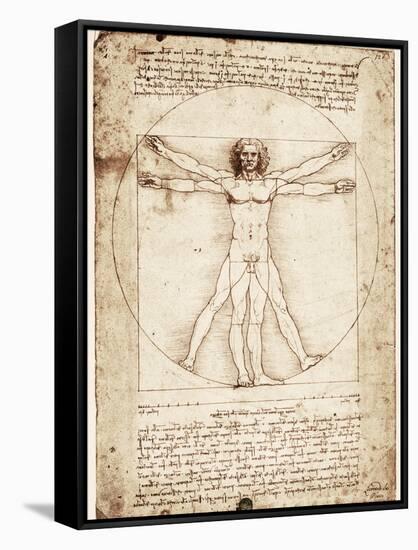 Vitruvian Man-Leonardo da Vinci-Framed Stretched Canvas
