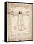 Vitruvian Man-Leonardo da Vinci-Framed Stretched Canvas