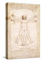 Vitruvius Man-Leonardo da Vinci-Stretched Canvas