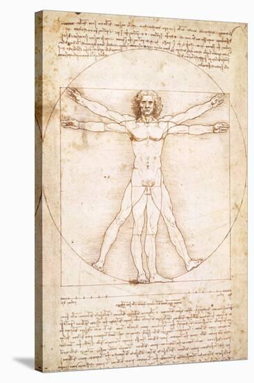 Vitruvius Man-Leonardo da Vinci-Stretched Canvas