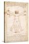 Vitruvius Man-Leonardo da Vinci-Stretched Canvas