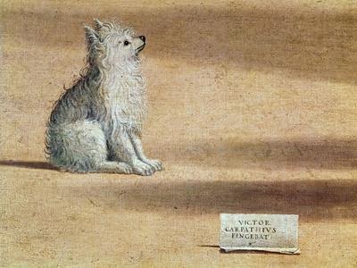 Vision of St. Augustine, Detail of the Dog, 1502-08