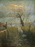 Canal in the Wood at Sunset-Vittore Grubicy de Dragon-Mounted Giclee Print