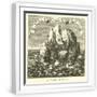 White Frame