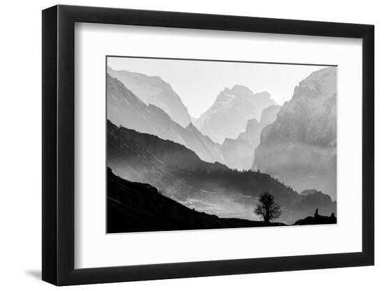 Premium Photographic Print, , large