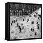 Vittorio Emanuele II Gallery, Milan 1950s-Mario de Biasi-Framed Stretched Canvas