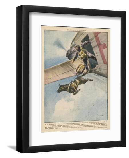 Premium Photographic Print, , large