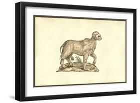 Vitulus Capite Fere Humano-Ulisse Aldrovandi-Framed Art Print