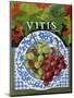 Vitus (Grapes), 2014-Jennifer Abbott-Mounted Giclee Print